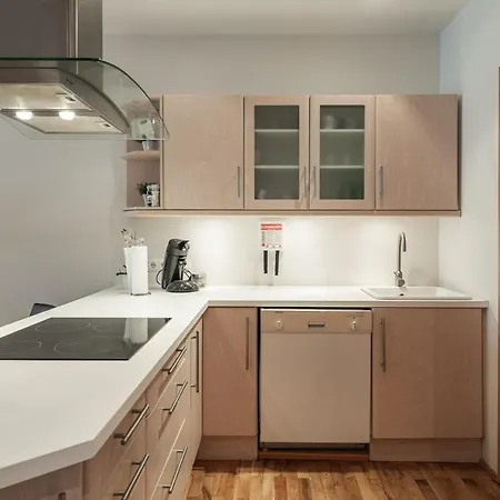 Apartment Rvk Centre